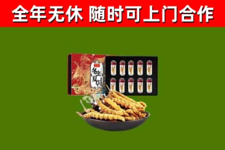 万州回收冬虫夏草价格