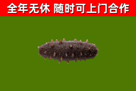 万州烟酒回收干海参.jpg